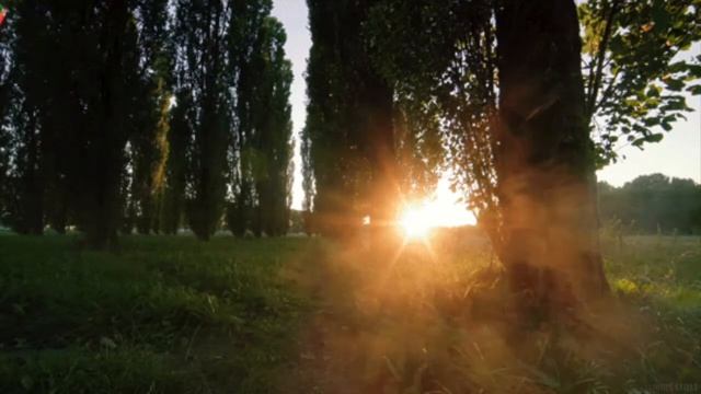 Сеанс 11. Вторая ставка на сон смотреть онлайн