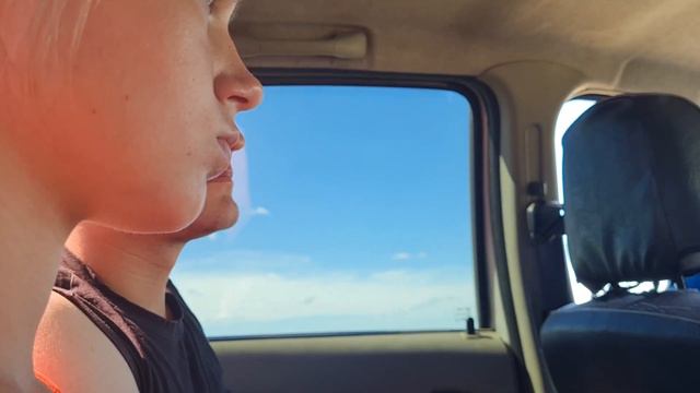 Поездка на природу и сочные шашлычки! смотреть онлайн