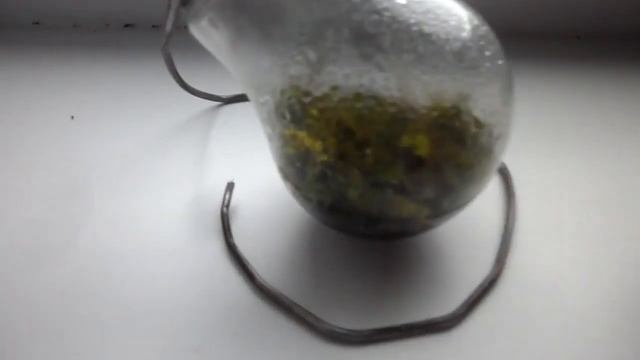 мини уголок растений смотреть онлайн