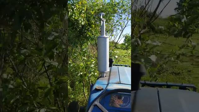 Ford 2000 can brush hog!! смотреть онлайн