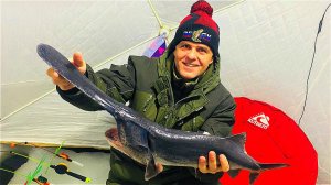 ЗАГНУЛ СРАЗУ ВСЕ УДОЧКИ Ловля осетра зимой Все по правилам Тихая Заводь