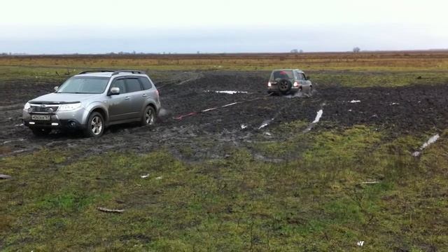 Foreste тащит Pinini 2 смотреть онлайн