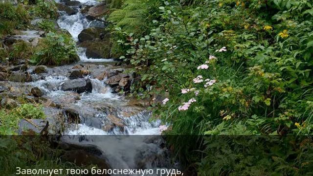 Ручей смотреть онлайн