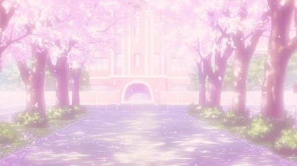 Pink Aesthetic Animated Backgrounds I Free to Use