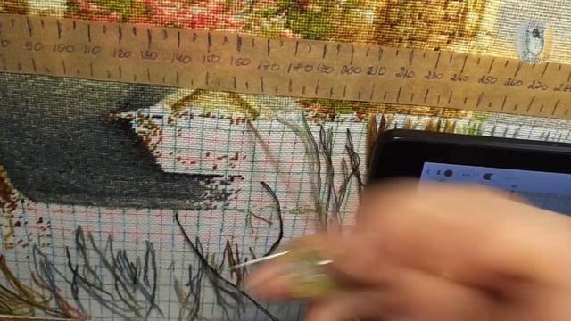 Экватор пройден Маяк от Химеры 4 Отчет Многоцветка в петитах смотреть онлайн