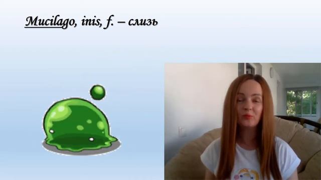 Как определить род существительных 3 склонения? смотреть онлайн