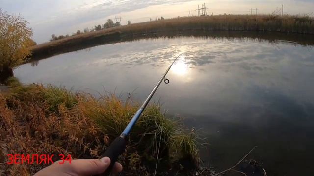 Рыбалка на спиннинг в пойме реки Ахтуба. Жор щуки. Ахтуба октябрь 2020 смотреть онлайн