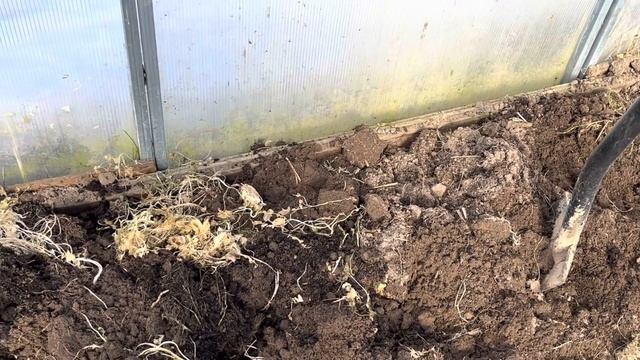 Подготовка грунта в теплице весной. Март 2022 смотреть онлайн