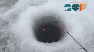 Где ловить карася в оттепель. Где искать Карася. Как поймать карася зимой