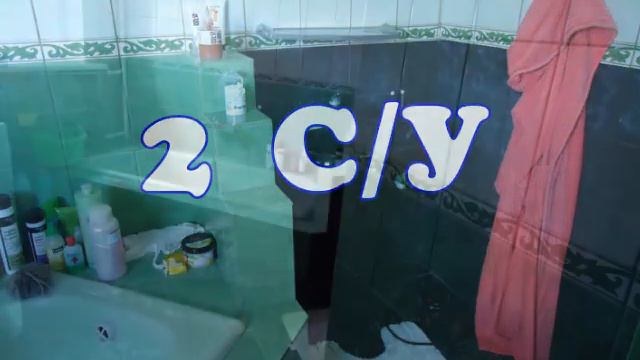 Продажа дома в с. Новая Нелидовка. 280 м2/25 соток. смотреть онлайн