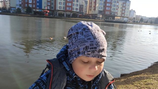 А.К. Толстой "Вот уж снег последний в поле тает" смотреть онлайн