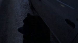 Лада ларгус не закрывается задняя дверь с брелка