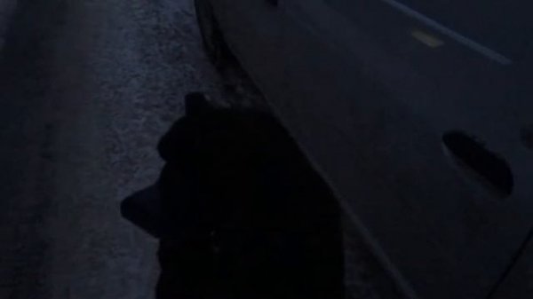 Лада ларгус не закрывается задняя дверь с брелка