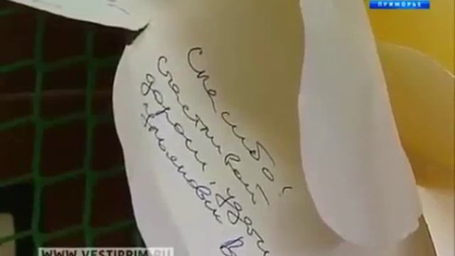 Старт акции Пусть будет мир 2016 смотреть онлайн
