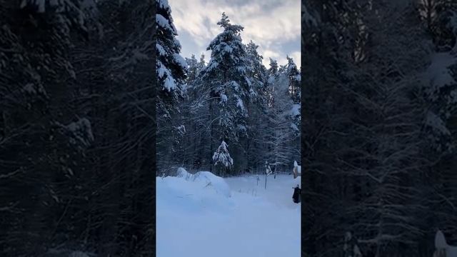 ТЕМ, КТО СКУЧАЕТ ПО РОССИИ. ВЕДЬМИНА ИЗБА ▶️ ИНГА ХОСРОЕВА. смотреть онлайн