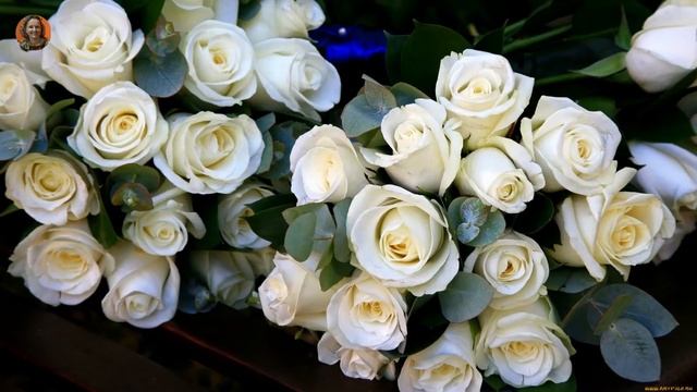 Успения Пресвятой Богородицы Свято Троицкий храм г. Кириши 28 августа (фото 2017 - 2020гг) смотреть онлайн