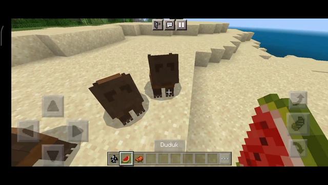 😂MASBRO VERSI MINECRAFT!! addon masbro mcpe 1.19 mediafire - addon masbro mcpe 1.18 mediafire смотреть онлайн