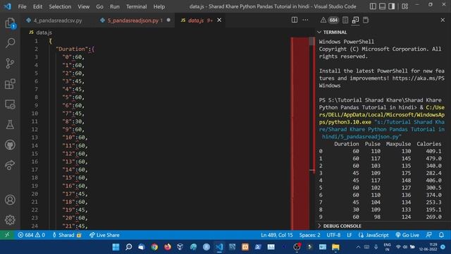 Python Pandas Read JSON || Dictionary as JSON || Python Pandas Tutorial in Hindi (With Notes) #5 смотреть онлайн
