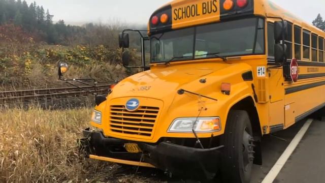 Forest Grove school bus driver cited for DUII after crash with students on board смотреть онлайн