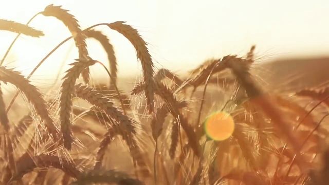 Цитаты, которые помогут быть сильными в трудные времена смотреть онлайн