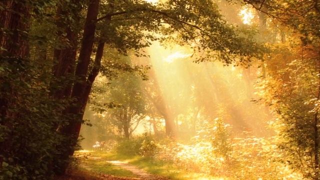 "Suite Apologyze to the Earth" by Composer Rodrigo Vivanco Barrientos смотреть онлайн