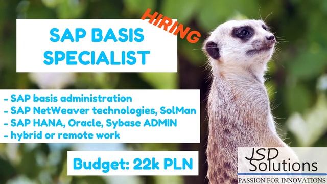 jsdsolutions - SAP Basis Specialist - job offer смотреть онлайн