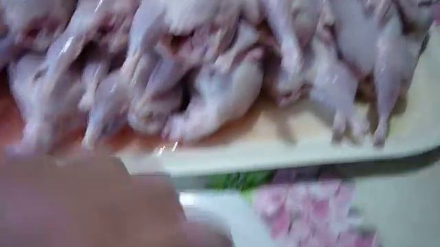 Тушки перепелов. смотреть онлайн