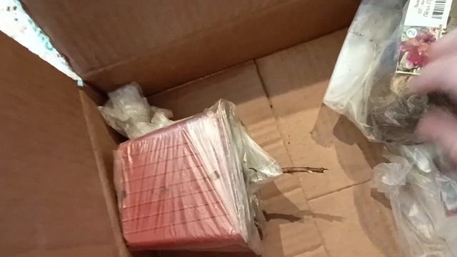 разпаковка посылки из интернет магазина Садовый мир. смотреть онлайн
