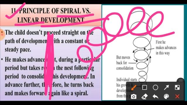 Principles of child development(Child development and pedagogy) explanation//Bodo// смотреть онлайн
