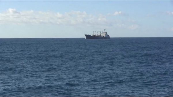 Lens_ До свидания Командоры