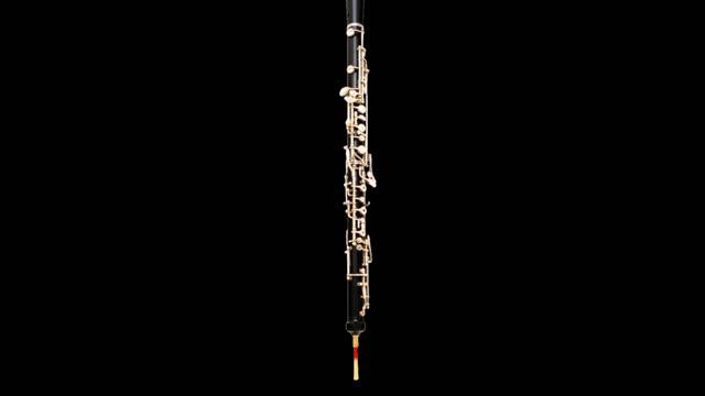 Beethoven: Kontretänze No. 1 in C Major, WoO 14 (for Woodwind Quintet) смотреть онлайн