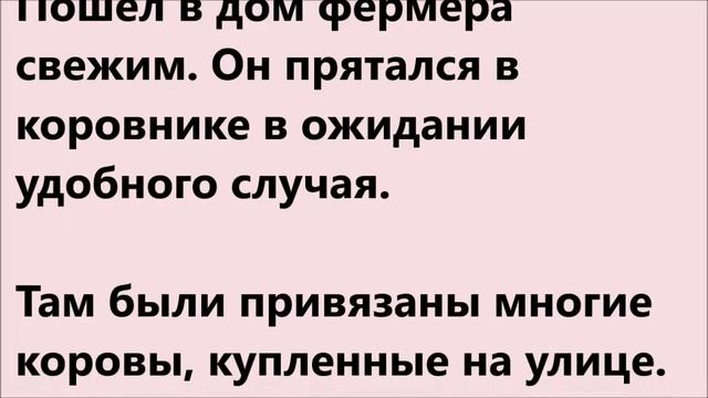 Пришло кунжутное масло! смотреть онлайн