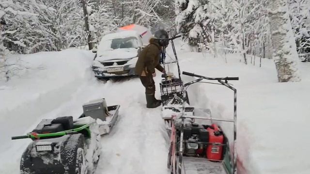 ЗИМНИЕ ПОКАТУШКИ НА СОБАКАХ смотреть онлайн