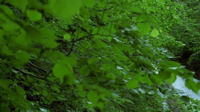 24 марта - День справедливости | Лунный Календарь смотреть онлайн