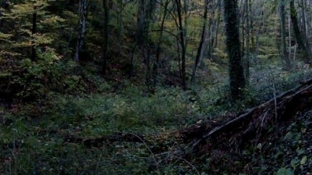 Осенний лес и водопад Туапсе смотреть онлайн