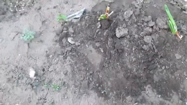 Пифпонг смотреть онлайн