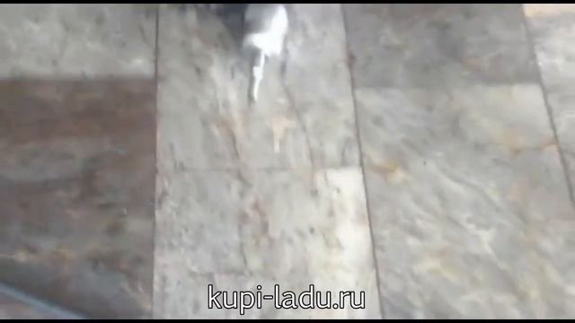 Lada Vesta ТО-1 в Турции . Клиент Купи Ладу смотреть онлайн