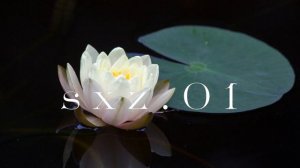 Чеченская песня Казбек Эльмурзаев А у нас на озере лилии цветут