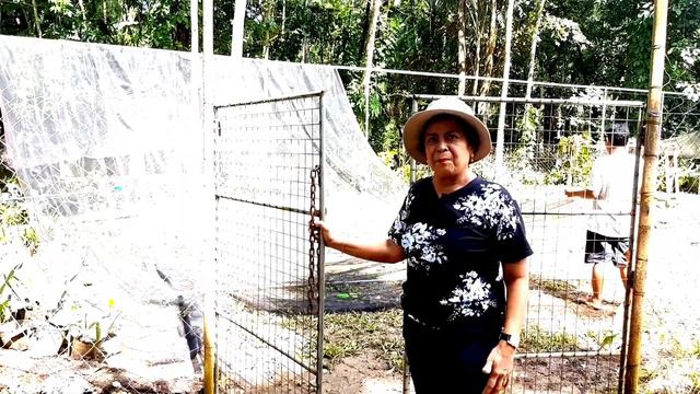 GARDEN EXTENSION || ni Mamay's Garden. смотреть онлайн