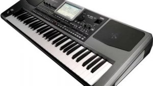 Ritim /Organ trust music  / Muhammed Necip Güven