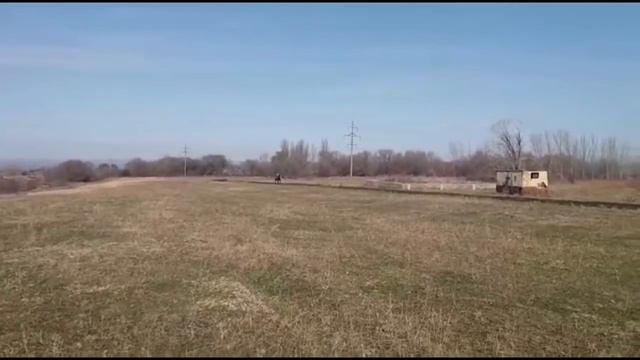 Продажа Иноходцев смотреть онлайн