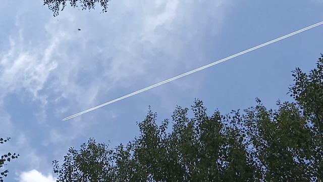 Поход Выходного Дня))) смотреть онлайн