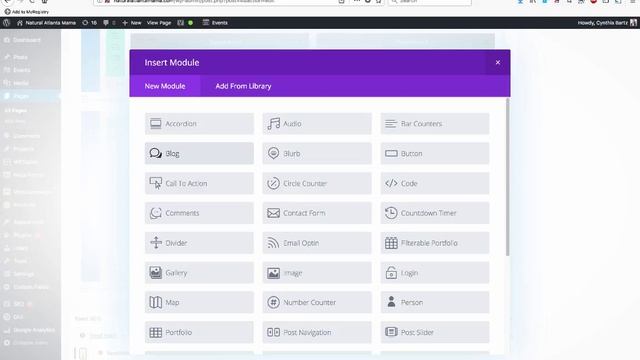 Overview of Divi WordPress Theme смотреть онлайн