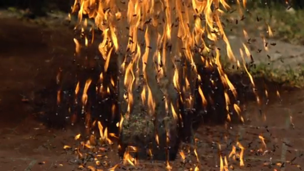 Поджог спичечной бомбы в Slow Mo смотреть онлайн