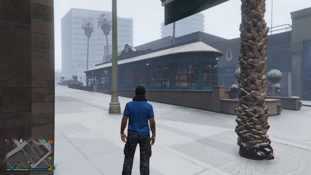 Grand Theft Auto V_Да чем же эти девушки занимаются. смотреть онлайн