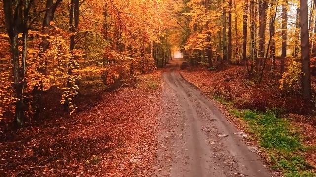 CLASICOS DE LOS 80's - Las Mejores Canciones Romanticas En Saxofon - Musica Para Relajarse