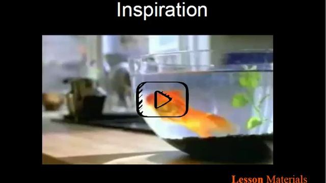 Using Video In The Classroom смотреть онлайн