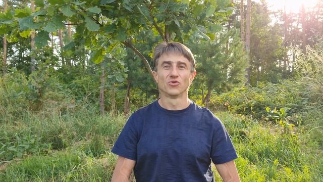 Правильная прическа. смотреть онлайн