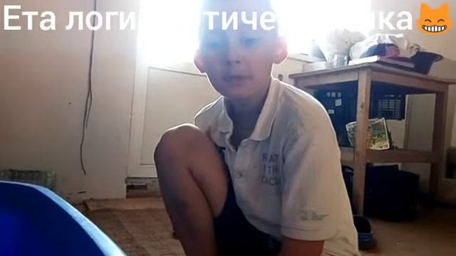 История ящерок смотреть онлайн