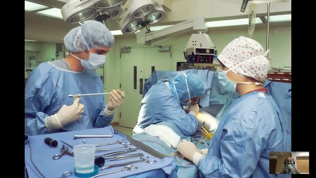 Хирург на авто подобрал в метель замерзающую монашку… Но едва переступил порог ее хижины... смотреть онлайн